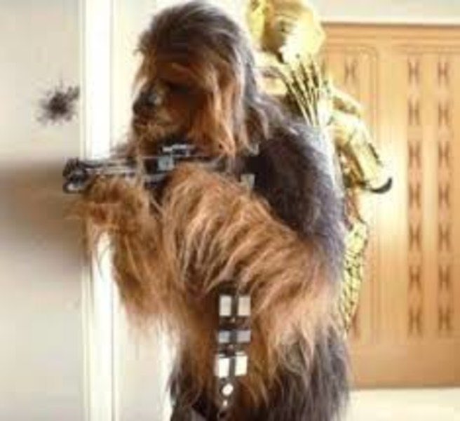 Rob_Watts_82's tweet image. Same vibe.
#PredatorBadlands #StarWars #chewieC3PO