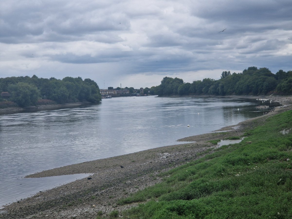 Joan Smith (@polblonde) on Twitter photo 