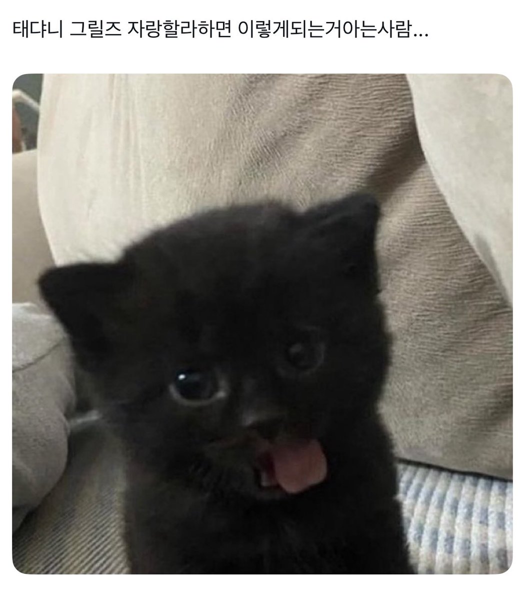 kkamneko's tweet image. 