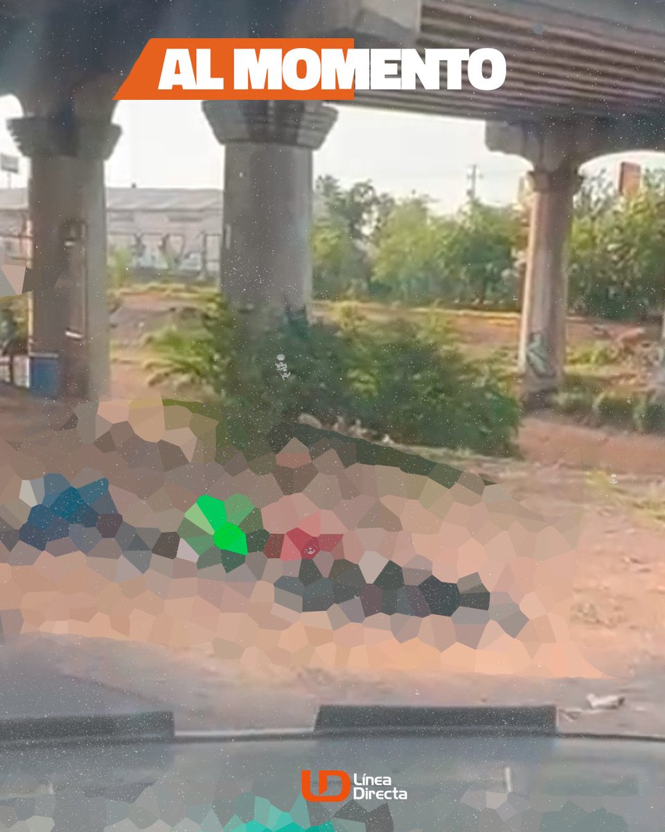 linea_directa's tweet image. #ALMOMENTO | Reportan cuatro personas sin vida 🕊️ por la Avenida Federalismo, justo de bajo del 🌉 puente del bulevar Rolando Arjona en #Culiacán; 📌🛞 también hay presencia de “Ponchallantas”, ⚠️ tome precauciones
