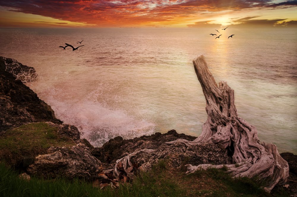 RizwanNft's tweet image. "Photography lives on; your distinctive creativity ensures its vitality, so keep shooting."
Hi my name is Rizwan Shah and I'm a photographer
#PhotographyIsArt