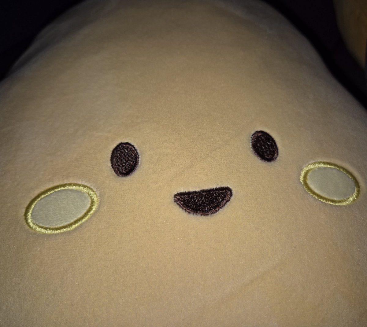 soonto23's tweet image. 배인형 귀엽쥬? 말랑해서 안고있기 너무 좋아용