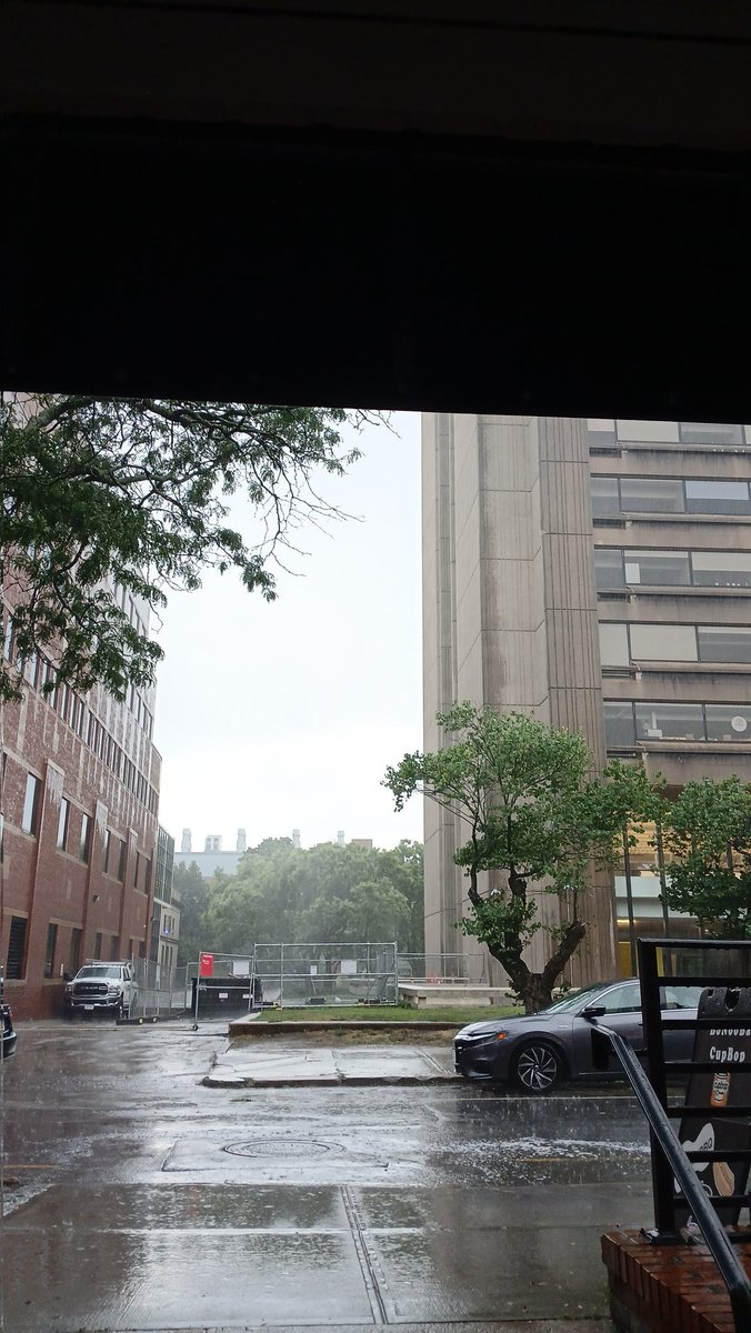 Roud_ex_Machina's tweet image. Ayer se calló el cielo, hubo tormenta.