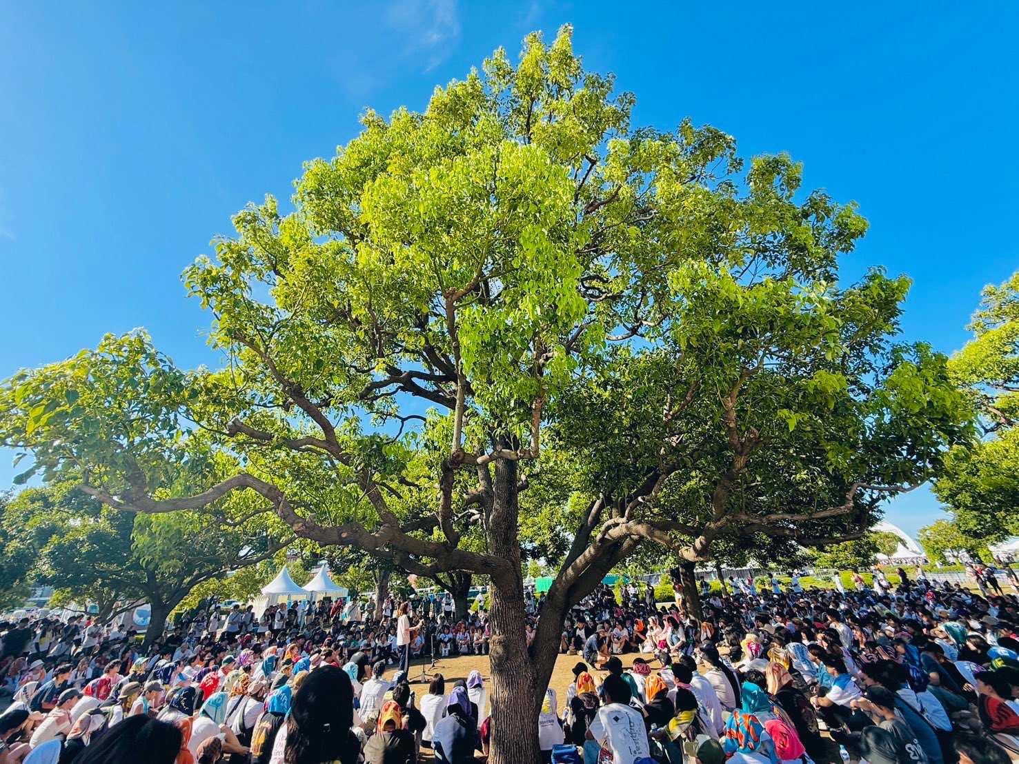 上野はゆね (@UenoHayune) / X