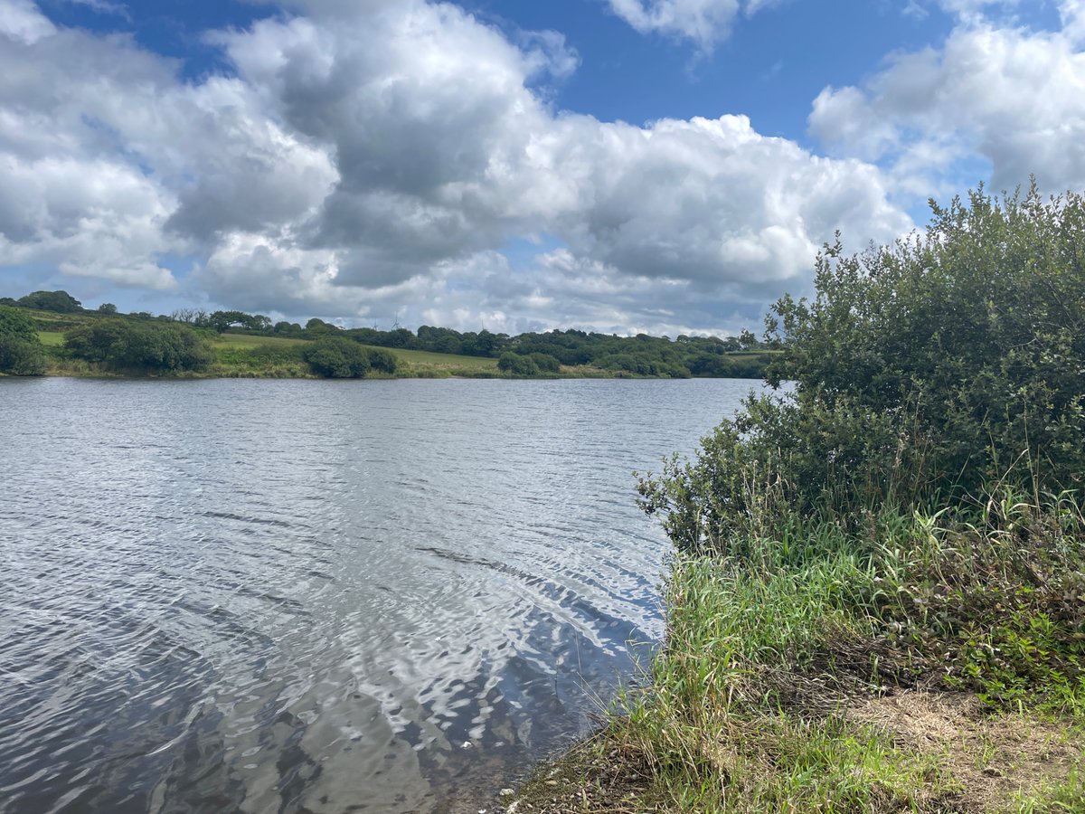 DCFishEA's tweet image. Good to see all anglers at today’s competition @swlakes @MainlineBaits Upper Tamar had a rod licence. Nice to see a few fish 🎣 caught and the weather clearing up.