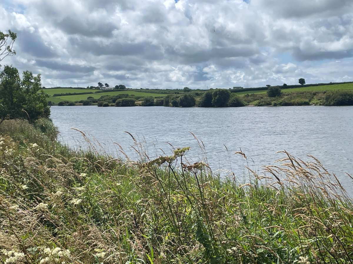 DCFishEA's tweet image. Good to see all anglers at today’s competition @swlakes @MainlineBaits Upper Tamar had a rod licence. Nice to see a few fish 🎣 caught and the weather clearing up.