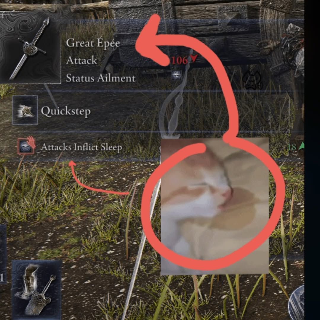 Happy #caturday! Don't be too eepy now (via @ pesamenteir0)