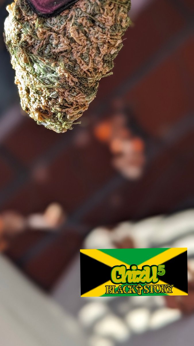 売り切れました♥確認用 クローバーコア🍀 #clovercore