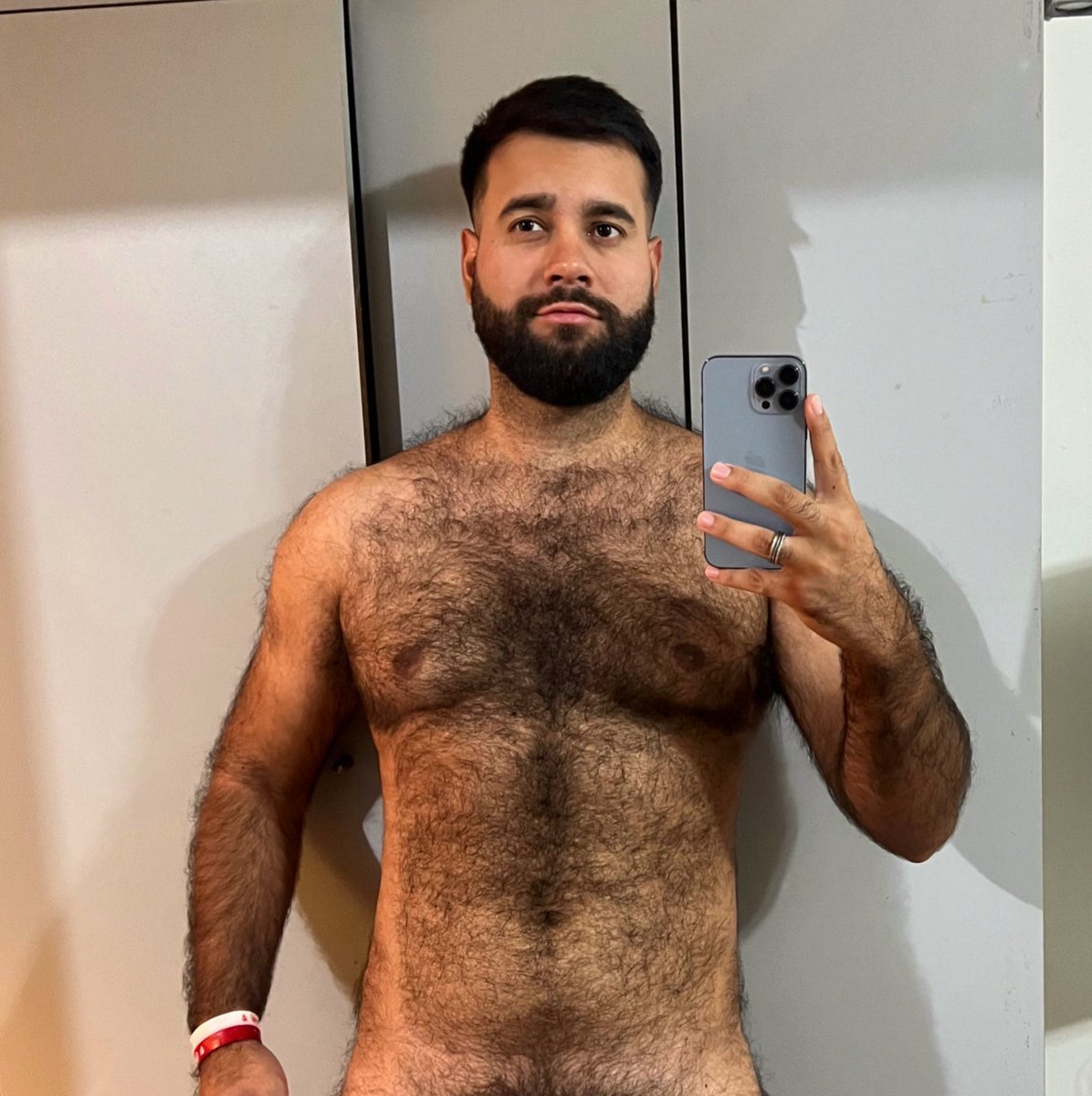 El Bearcito (@luisporta01) on Twitter photo 