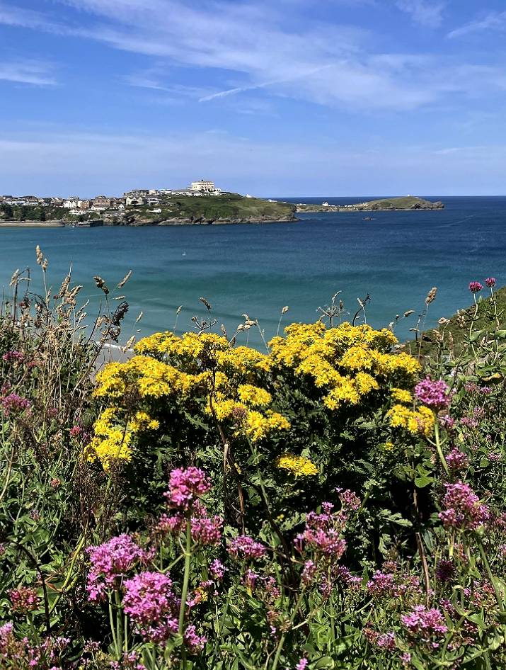 CornwallK8's tweet image. Good old Newquay looking rather grand! ☀️😎💙〓〓
#Cornwall #StormHour #ThePhotoHour #SaturdayVibes