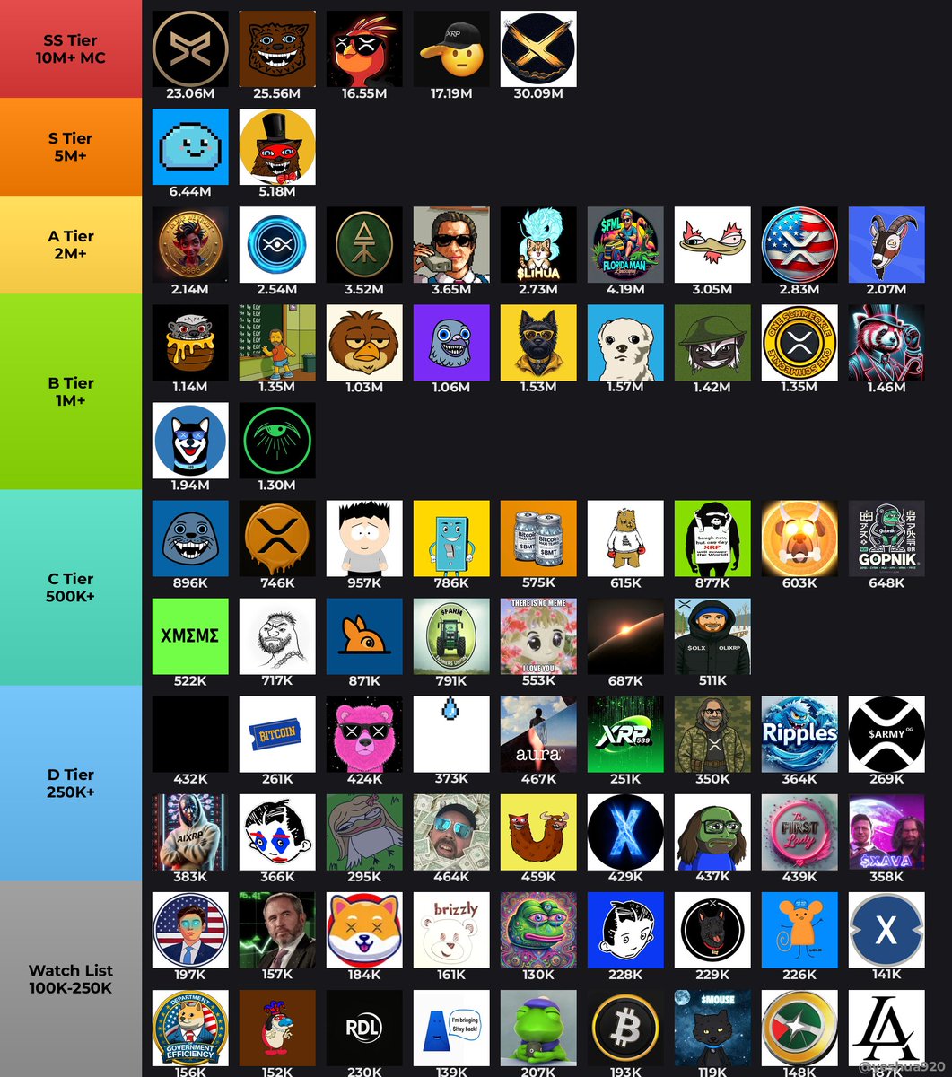 yeshua920's tweet image. 🏆 XRPL Memecoin Tier List
Every token here showed on-chain momentum 📊
Tag the project that's climbing the ranks 🧵👇
🌟 SS — God Tier:
1. $ARMY @army_xrp589 → $23.1M
2. $FUZZY @fuzzy_xrp → $25.6M
3. $PHNIX @phnix_xrp → $16.5M
4. $SLT @salutexrpl → $17.2M
🔥 S — Top Tier:…