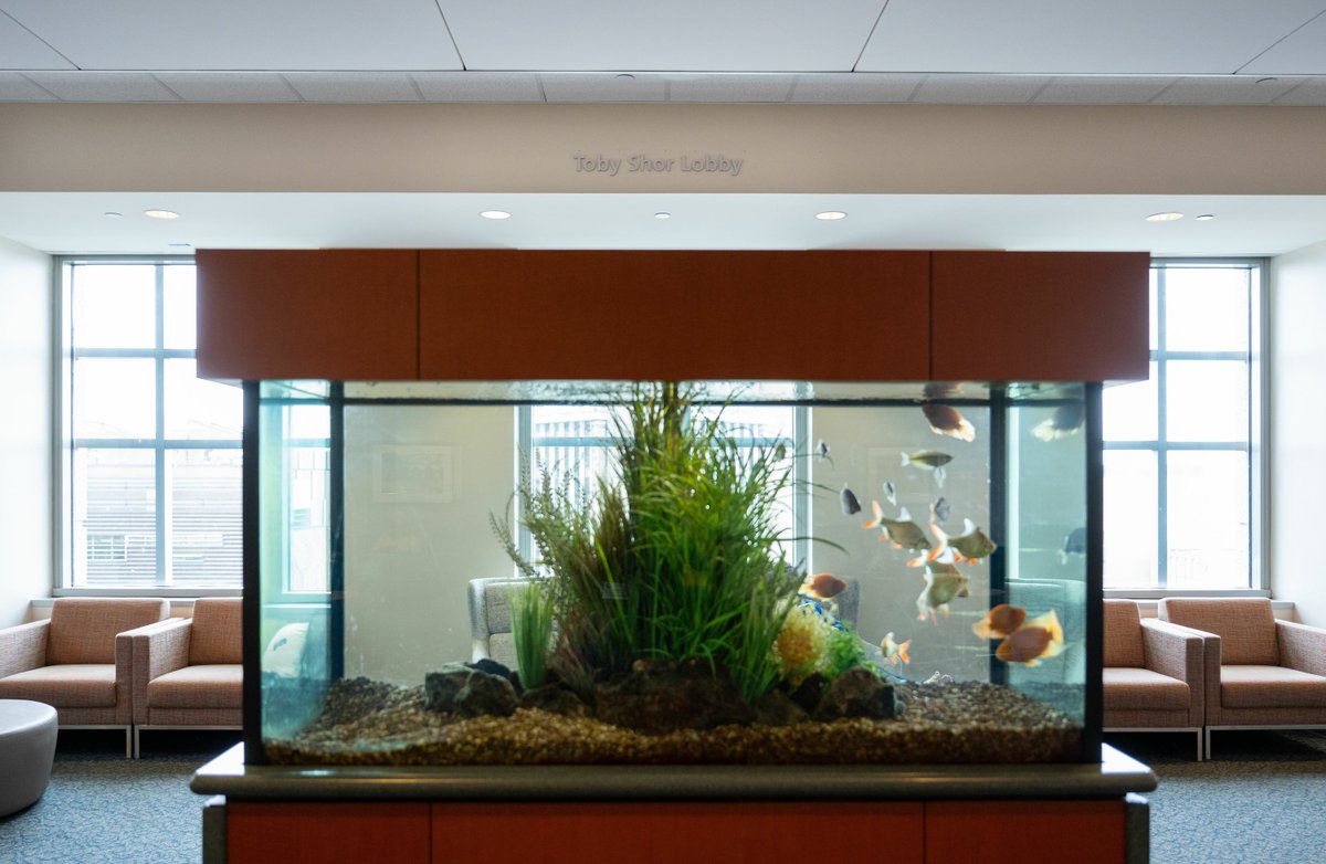 UroDocAsh's tweet image. A profound honor – this generous gift by Toby Shor is a tribute to bladder cancer patients, the care that makes survivorship possible, and the remarkable team I’m privileged to work with.
@MDAndersonNews #OncSurgery
@NNavai @KKBree @DrByronLee @OAlhalabiMD @DocMattCampbell…