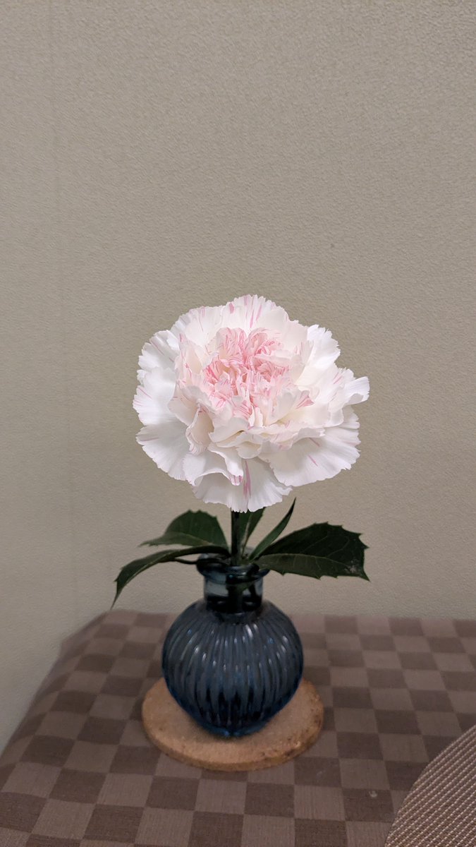 tohi104desu1's tweet image. 今日も一日お疲れ様でした

子供の頃の夏休み涼しい朝ラジオ体操してから秘密の森に虫取りに行って
学校のプールから帰る頃夕立から逃げてました😊

夜は友達と花火して仕上げはドラゴン楽しかったな夏休み

おやすみなさいまた明日👋