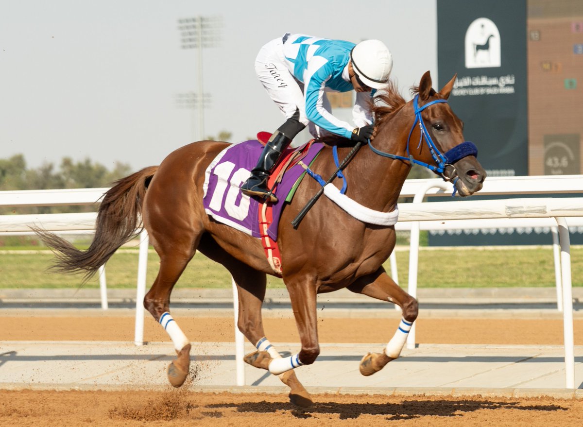 JCSA_Racing's tweet image. Now striking at 50% in her career, NAWAHEL ALKHALEDIAH enjoys the spoils of victory. Congratulations to Khalid Saeed Alsayed, the Almadfa yard and jockey Tariq Almansour. #SaudiRacing #TaifSeason
