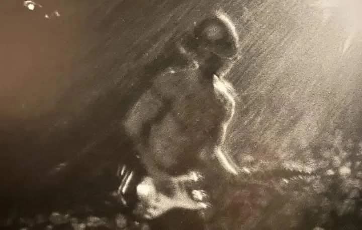 ChiliPeppersArg's tweet image. ✳️ El 26 de julio de 1997, hace exactamente 28 años, Red Hot Chili Peppers se presentó en el Fuji Rock Festival celebrado en Yamanashi, Japón 🇯🇵
🎸 Este show iba a ser el primero de una gira por Asia, pero finalmente sería el único ya que el resto de la gira se canceló y fue el…