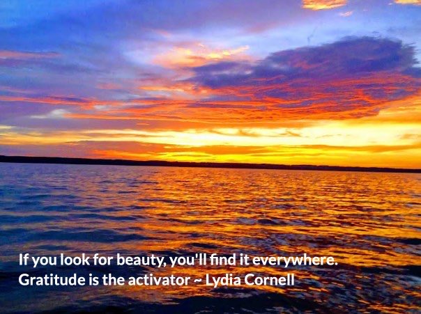 LydiaCornell's tweet image. I believe a better world is on its way, despite the chaos. We have to see each other through the eyes of love, and not fear. There are so many inexplicably beautiful things in the world; we need to explore the concept of Love as a tangible force that can heal and change things.🦋