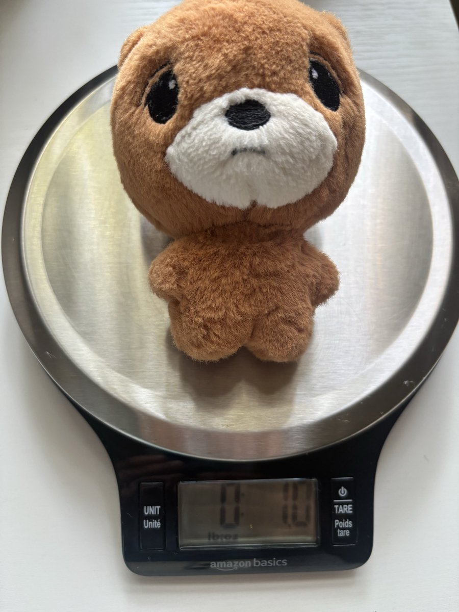 LDB_PROTECT's tweet image. Dongbear weighs 11 pennies