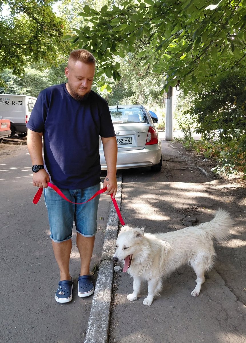 papasobaka's tweet image. I promise to appear on Twitter more often. In the meantime, I saved little Archie. The dog was found on the street after a rocket hit his house. A woman died in this house. There is a chance that he is left alone.