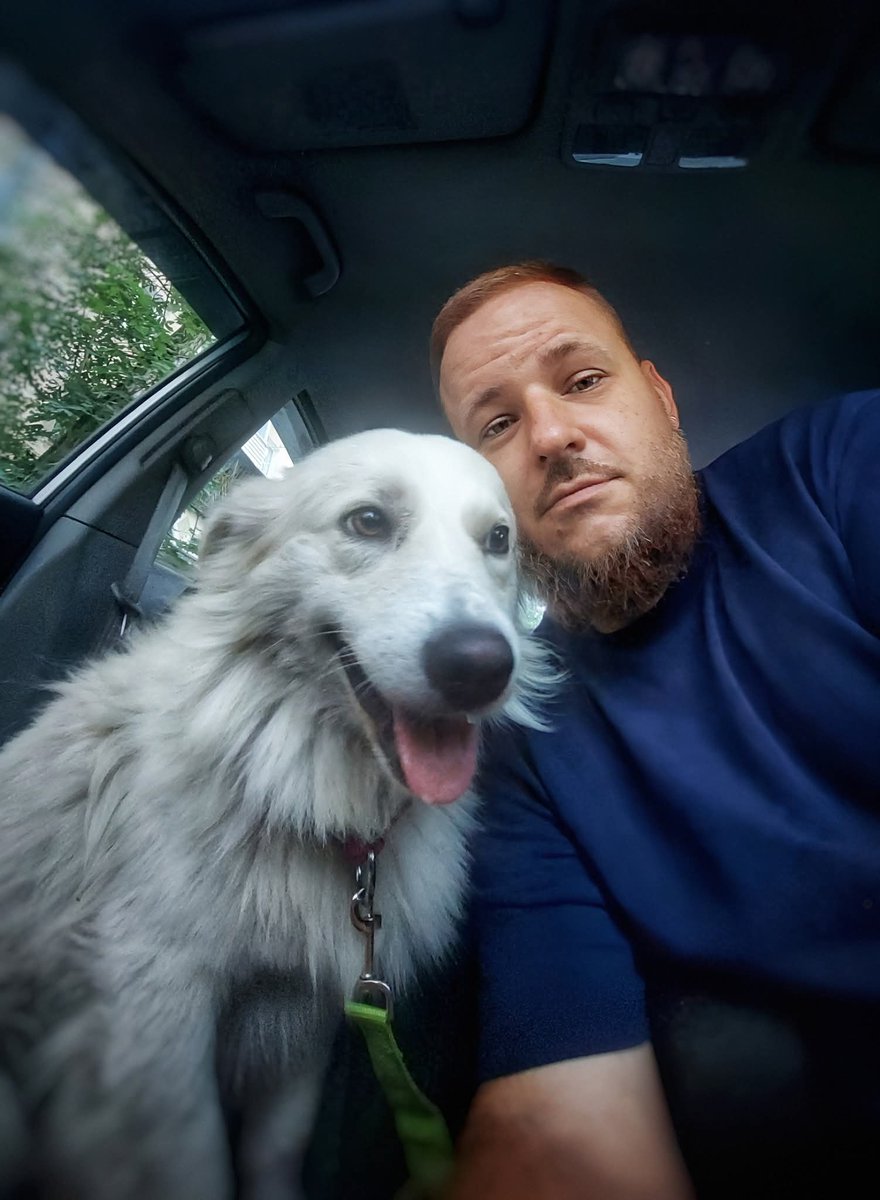 papasobaka's tweet image. I promise to appear on Twitter more often. In the meantime, I saved little Archie. The dog was found on the street after a rocket hit his house. A woman died in this house. There is a chance that he is left alone.