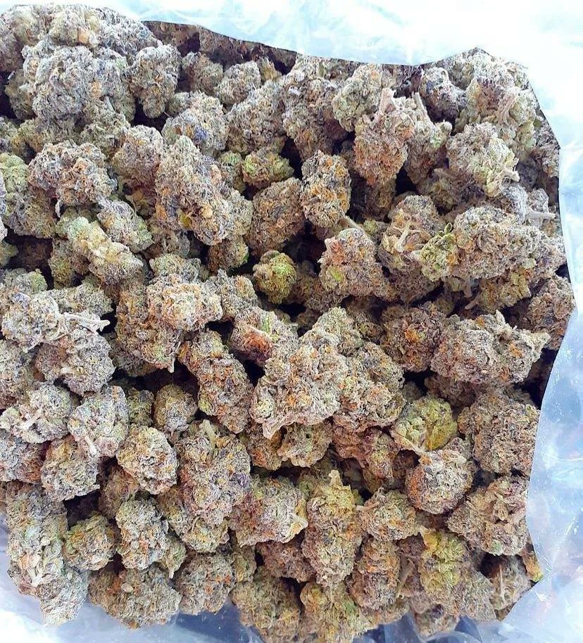 STONED2Da_BoneZ's tweet image. 🔥 Jelly RuntZ 🔥