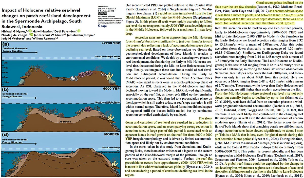 New study:

10,000 to 6000 years ago corals grew at 6 mm/yr rates due to increasing accommodation space. Sea levels have declined ~2 m since, leading to a coral growth hiatus (~2-3 mm/yr).

Today corals are only growing ~1 mm/yr, as sea levels are too low.
journals.sagepub.com/doi/pdf/10.117…