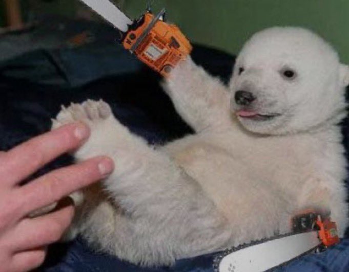 royal_coda's tweet image. Evil fucked to polar bear with chainsaws for hands it cant spread love, only hatred and destruction