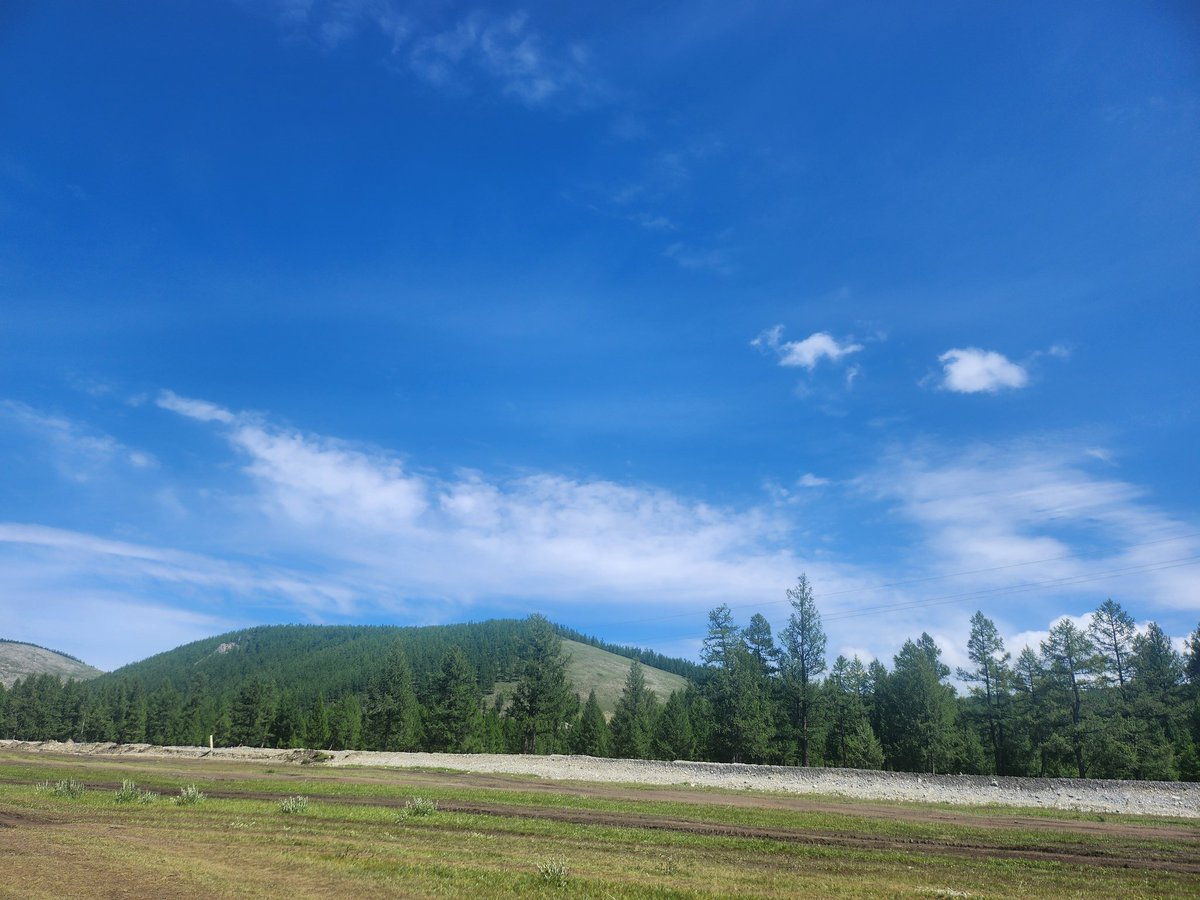 gereltuya29's tweet image. Зуншлага янзтай