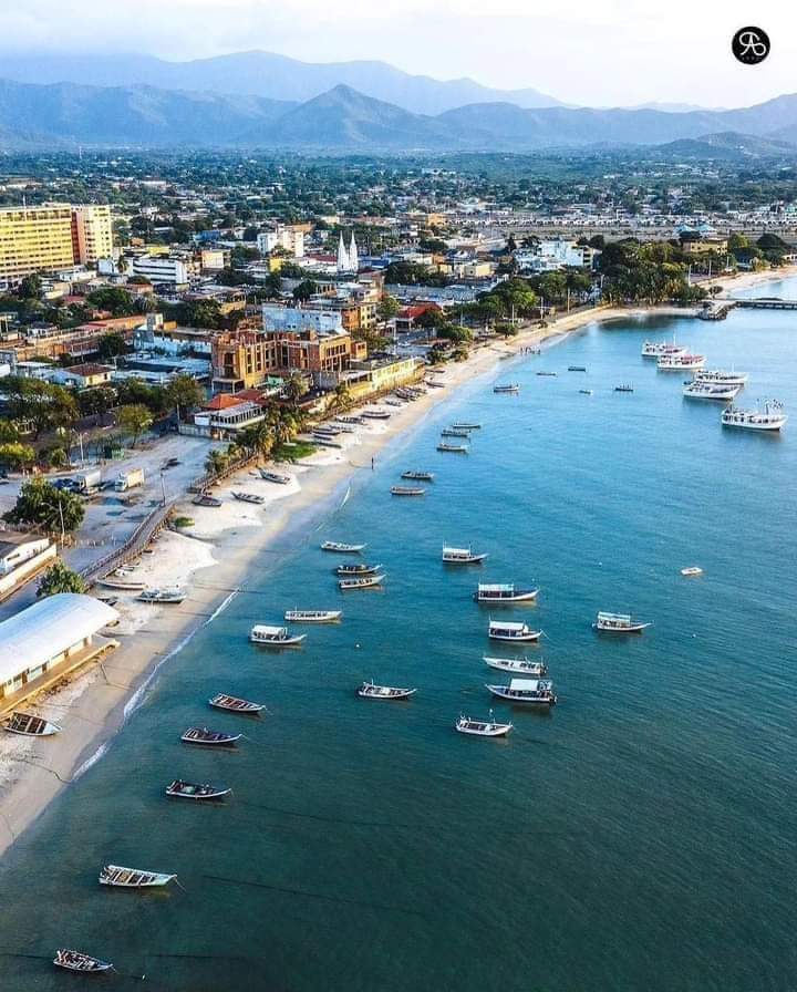 Esta belleza de foto de nuestra Margarita amada tomada desde lo alto. Disfruten su día 🎀