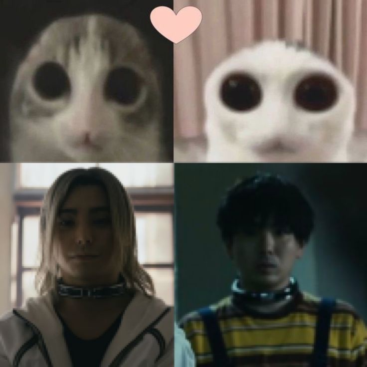 dailychippei's tweet image. ♡