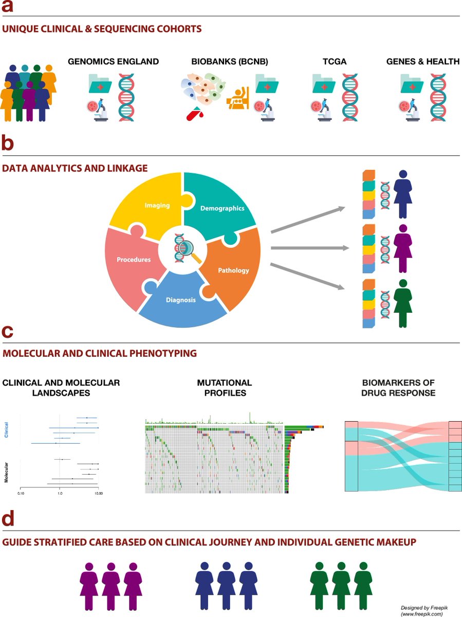 The clinical and molecular landscape of breast cancer in women of African and South Asian ancestry nature.com/articles/s4146…