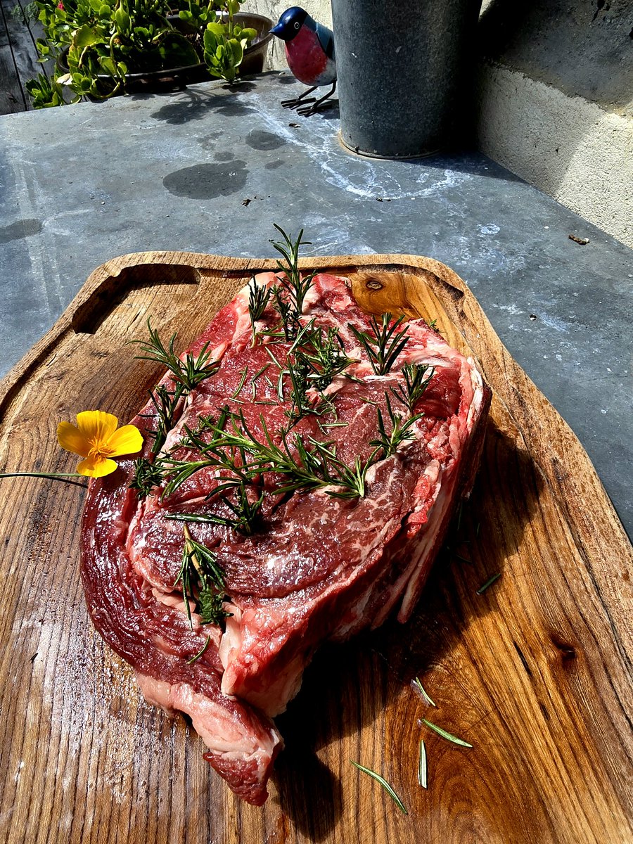 Это кот и кот де бёф. Кот считает что согласно правилам грамматики нужно совместить одно с другим.