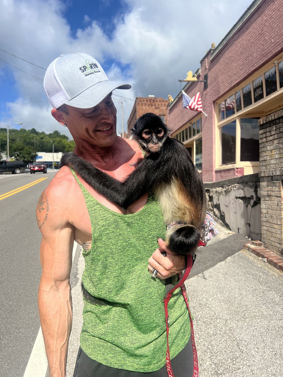 Oh my goodness!! In my little town of 900… things you see when you come for a haircut🐒🐵