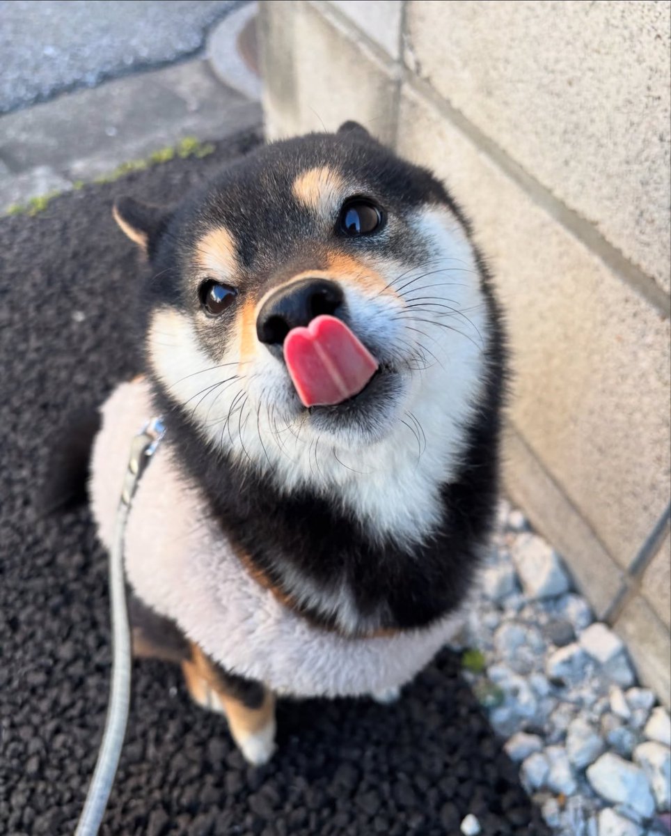 ieatjeets's tweet image. how we feeling?
