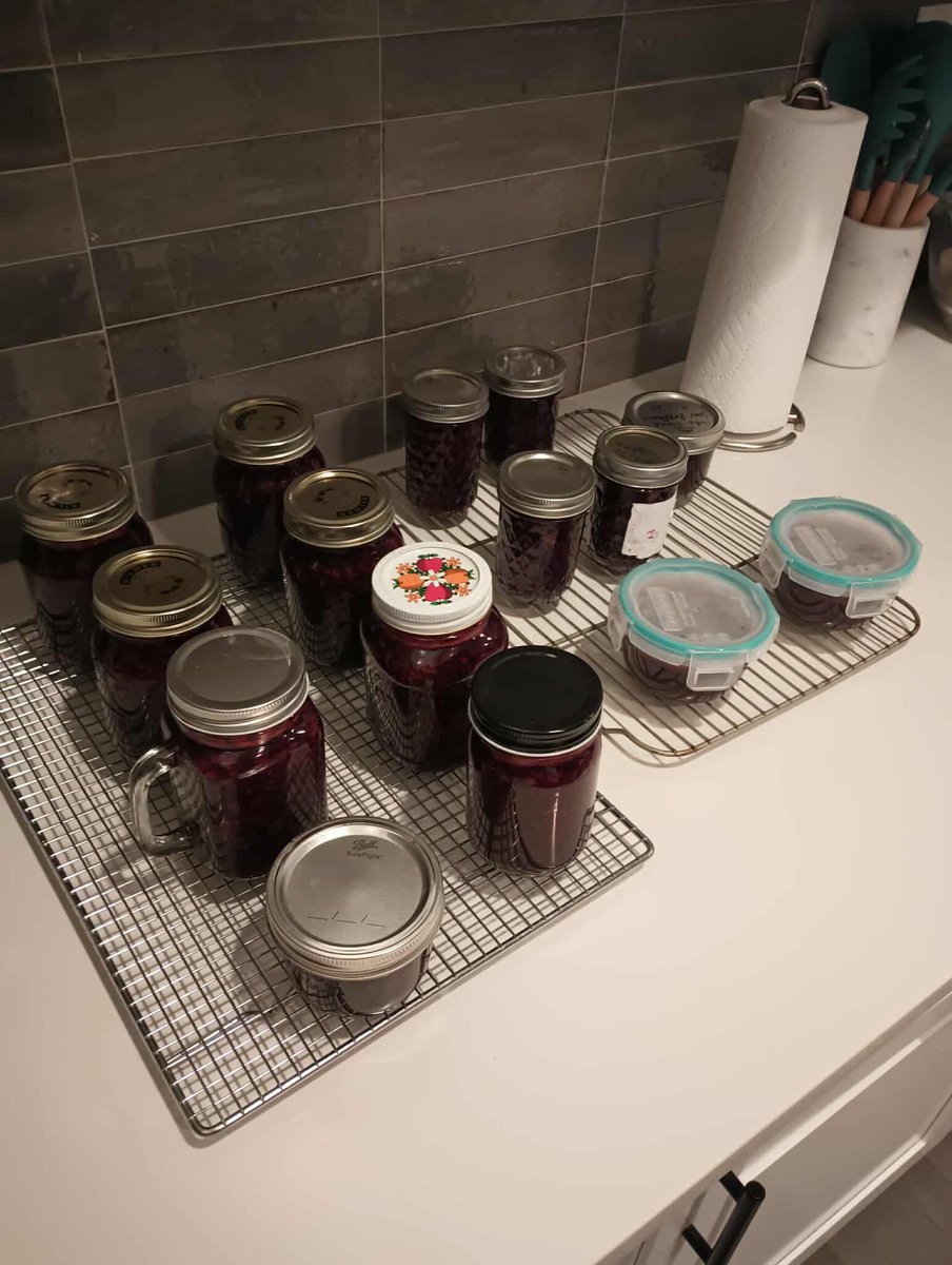 ByuSome's tweet image. After an hour of picking blackberries (and filling 4 buckets) we made:
-16 jars of freezer jam 💪
-3 bags of frozen whole berries
-3 bags of frozen pureed berries.
