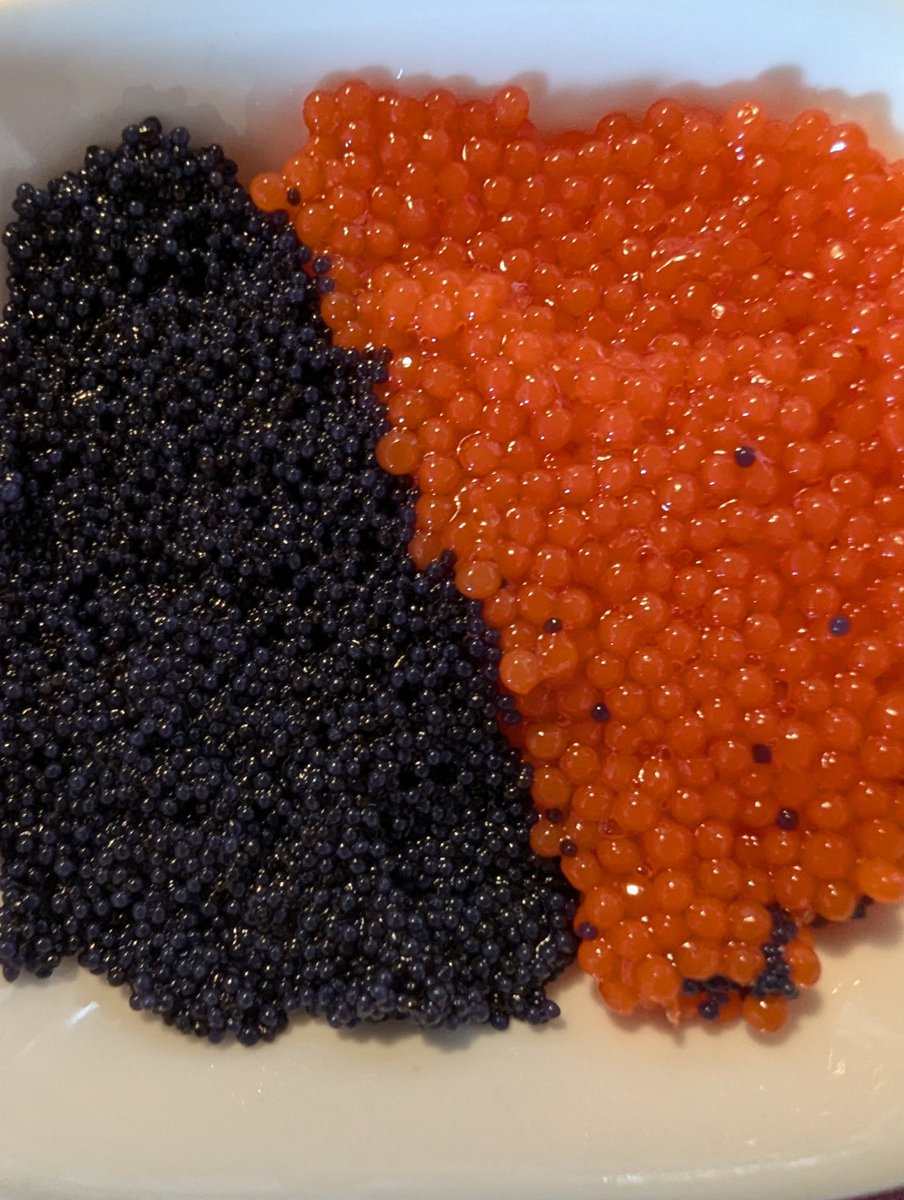 RatPoisonaut's tweet image. I&apos;m so tired of cheap caviar😮‍💨
Wen hypercorn?