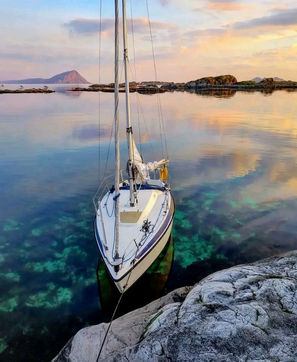 art_Yuks's tweet image. Sabato