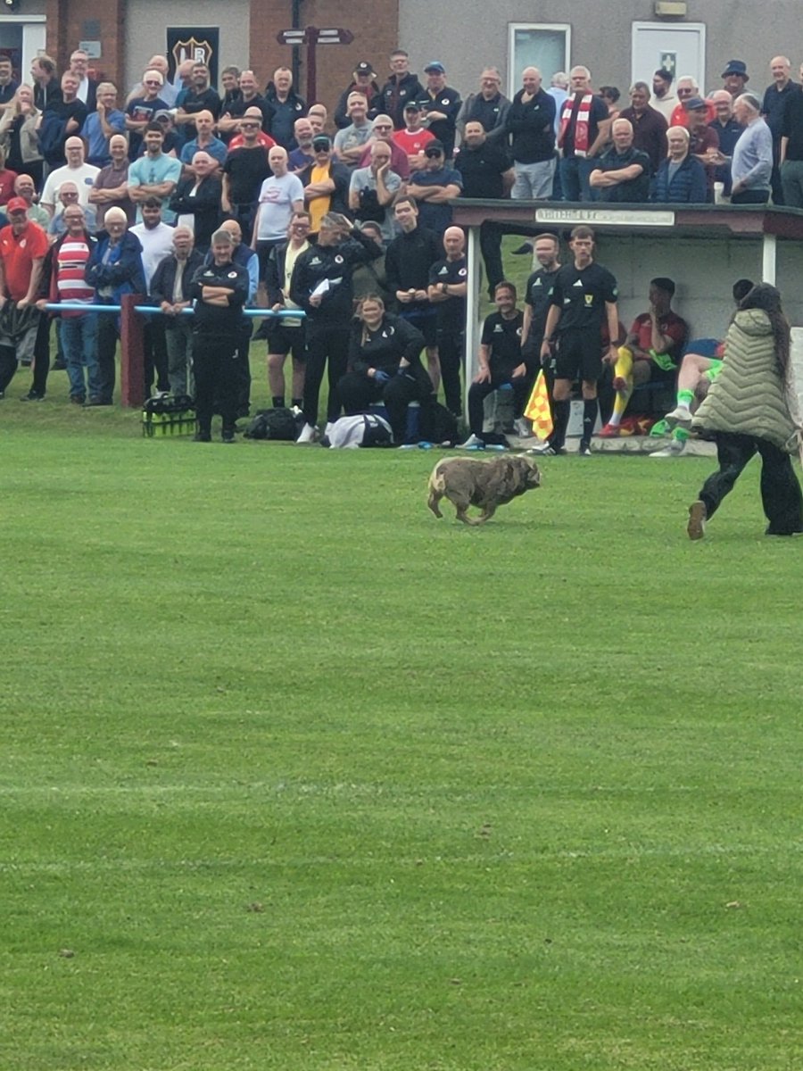 Stoppage in play as a dug's made it's way onto the park.

#RoseLive // 0-0// 23'