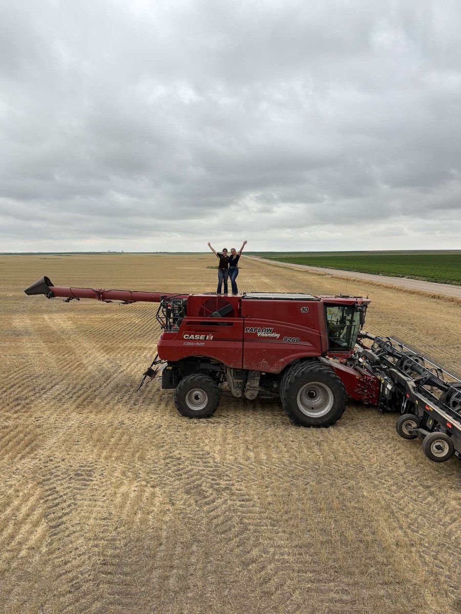 LittleBigFarm's tweet image. We are now in Tribune Kansas a tiny town surrounded by endless wheat fields and big skies. When I say I’m in the middle of nowhere, I mean it.

With fewer than 700 residents and views that stretch for miles, it’s definitely very remote. 🌾

#farmingusa #usatour #usa