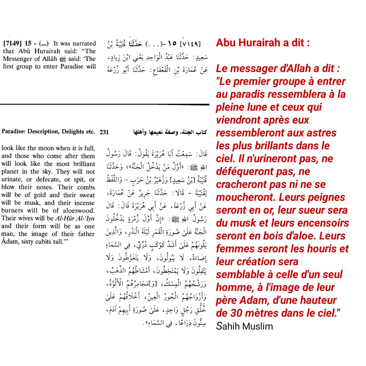 AbouQalypse's tweet image. "Approchez Messieurs et Messieurs, vous connaissez l'islam? Faire 30 mètre de haut ça vous intéresse? Ne plus faire caca ça vous interesse? Des peignes en or ça vous intéresse? Des femmes à votre disposition ça vous intéresse? Achetez ma camelote Messieurs et Messieurs!"