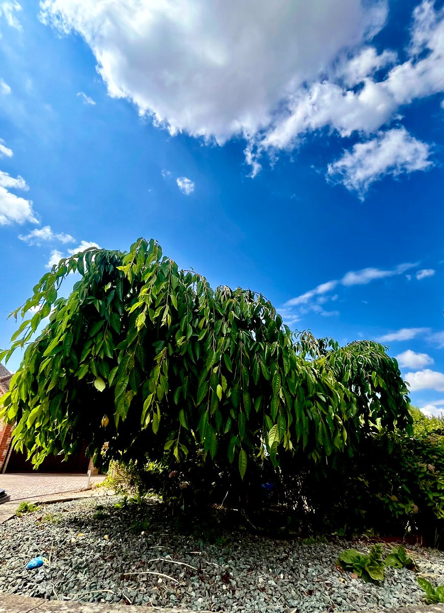 Saturday sunshine. ☀️ #NatureTherapy