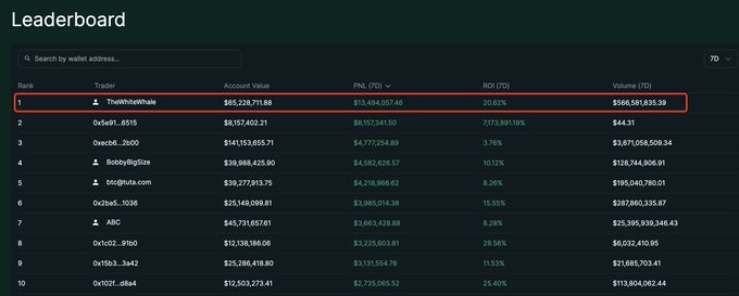 Hyperliquid Leaderboard showing The White Whale at #1 with $65.2M account value and $13.49M profit