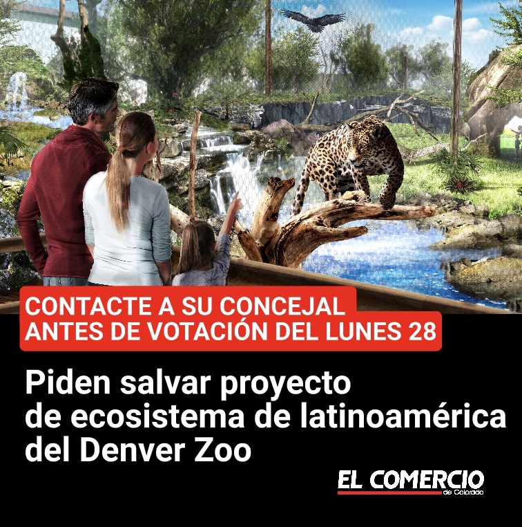 ComercioCO's tweet image. Piden salvar proyecto de #ecosistema de #latinoamérica del #DenverZoo. Entérese en que consiste y escríbale  a su concejal antes de la votación del 28 de julio. #LatinAmericanExperience
elcomerciodecolorado.com/presentan-los-…
