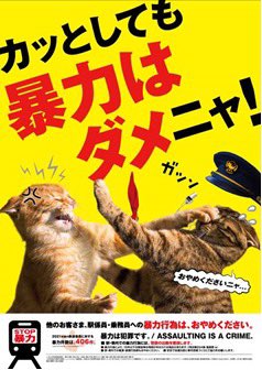 Mahami17214098's tweet photo. 2025/7/26 テーマ別投稿🙌

#素敵なデザイン
#fammスクール

またも猫広告ですが、
何年か前の夏休みに東京に遊びに行った時、子どもが気に入っていた駅構内で見かけた広告です✨
東京は駅の広告も面白いなぁと思って色々キョロキョロした田舎者です。笑 https://t.co/mc1HzLhVfN