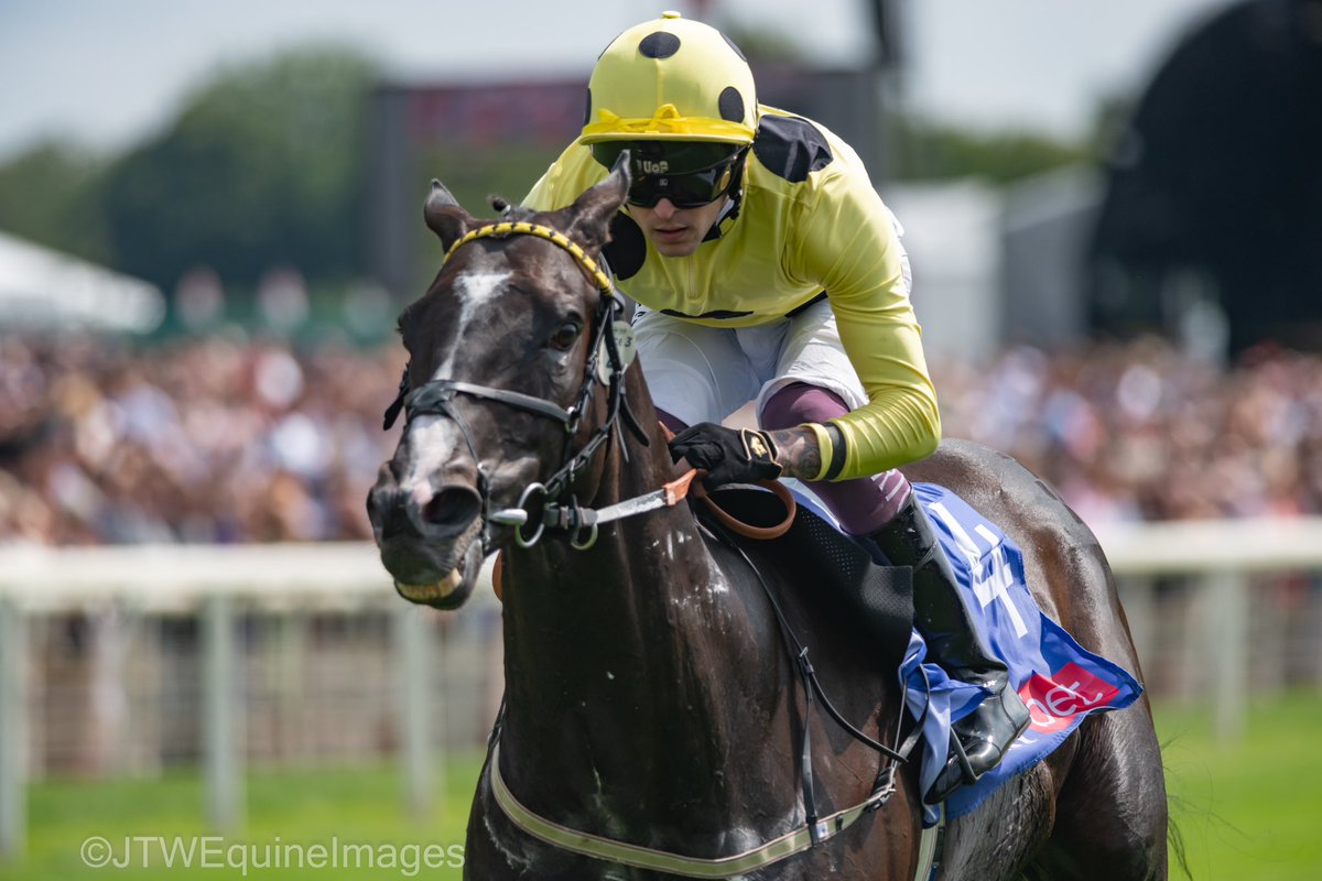 ROYAL CHAMPION and Clifford Lee win the <a href="/SkyBet/">Sky Bet</a> York Stakes for trainer Karl Burke and owner Sheikh Mohammed Obaid Al Maktoum. 

An impressive performance in the feature of the day on the Knavesmire.