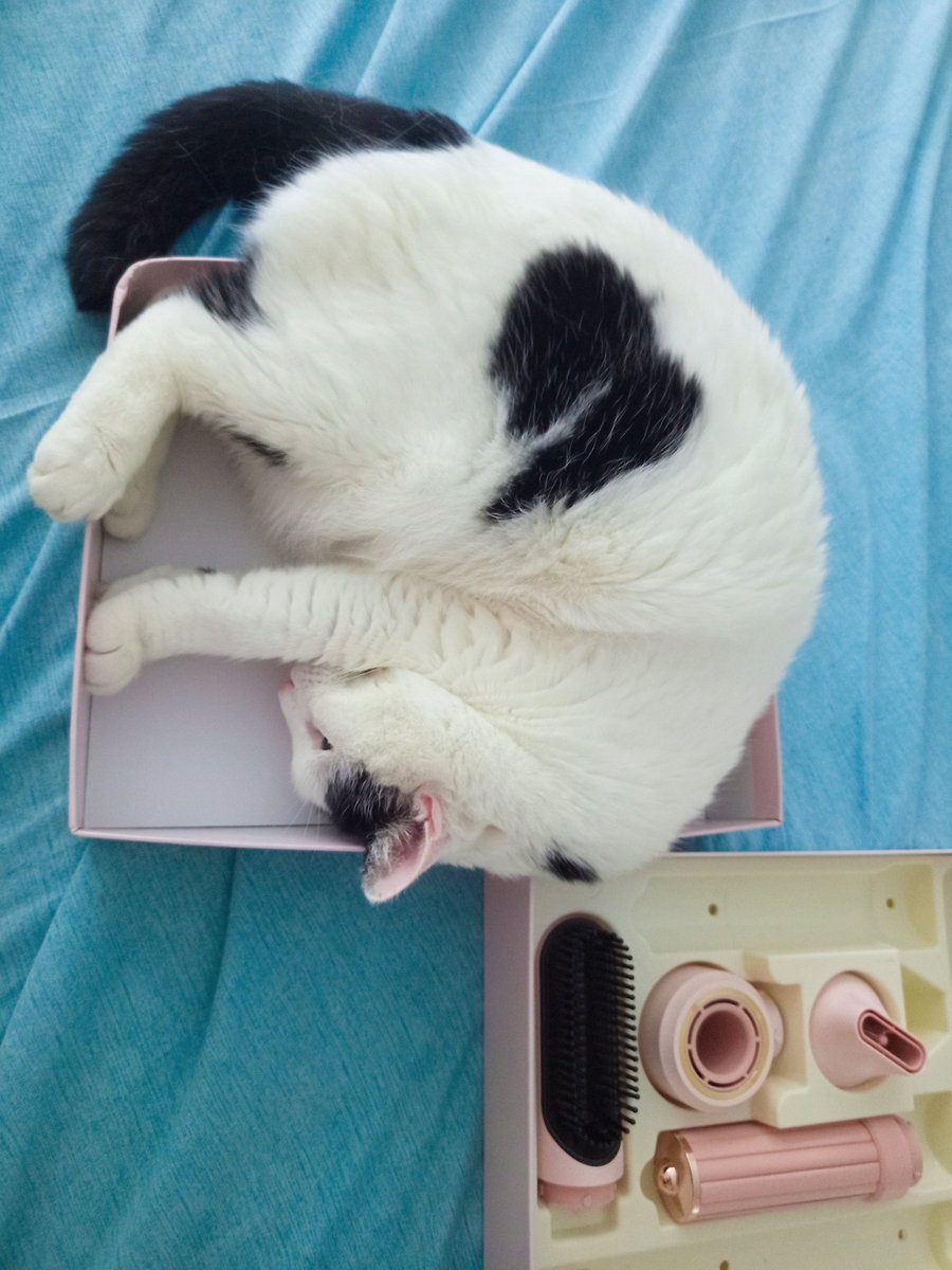 Bulunduğu kabın şeklini alamayan biri.