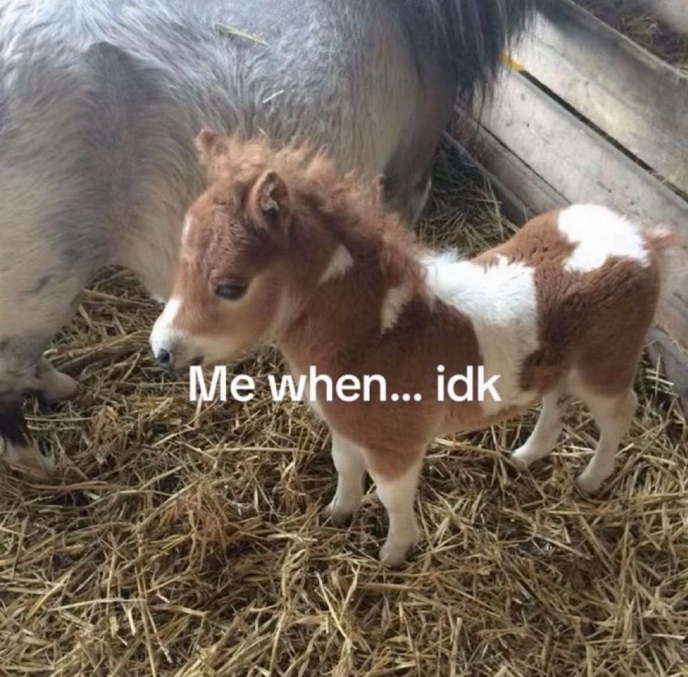 ✧ (@northstardoll) on Twitter photo 