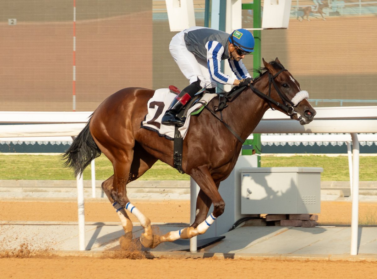 JCSA_Racing's tweet image. 1️⃣ race and 1️⃣ win so far in her promising career! #TaifSeason
Congrats to the team behind AZMAAT, winner of race 4 and a 2yo debut victress, including owner Alsadah Stable, trainer N Alfadhel and jockey Rayan Altoairsh. #SaudiRacing