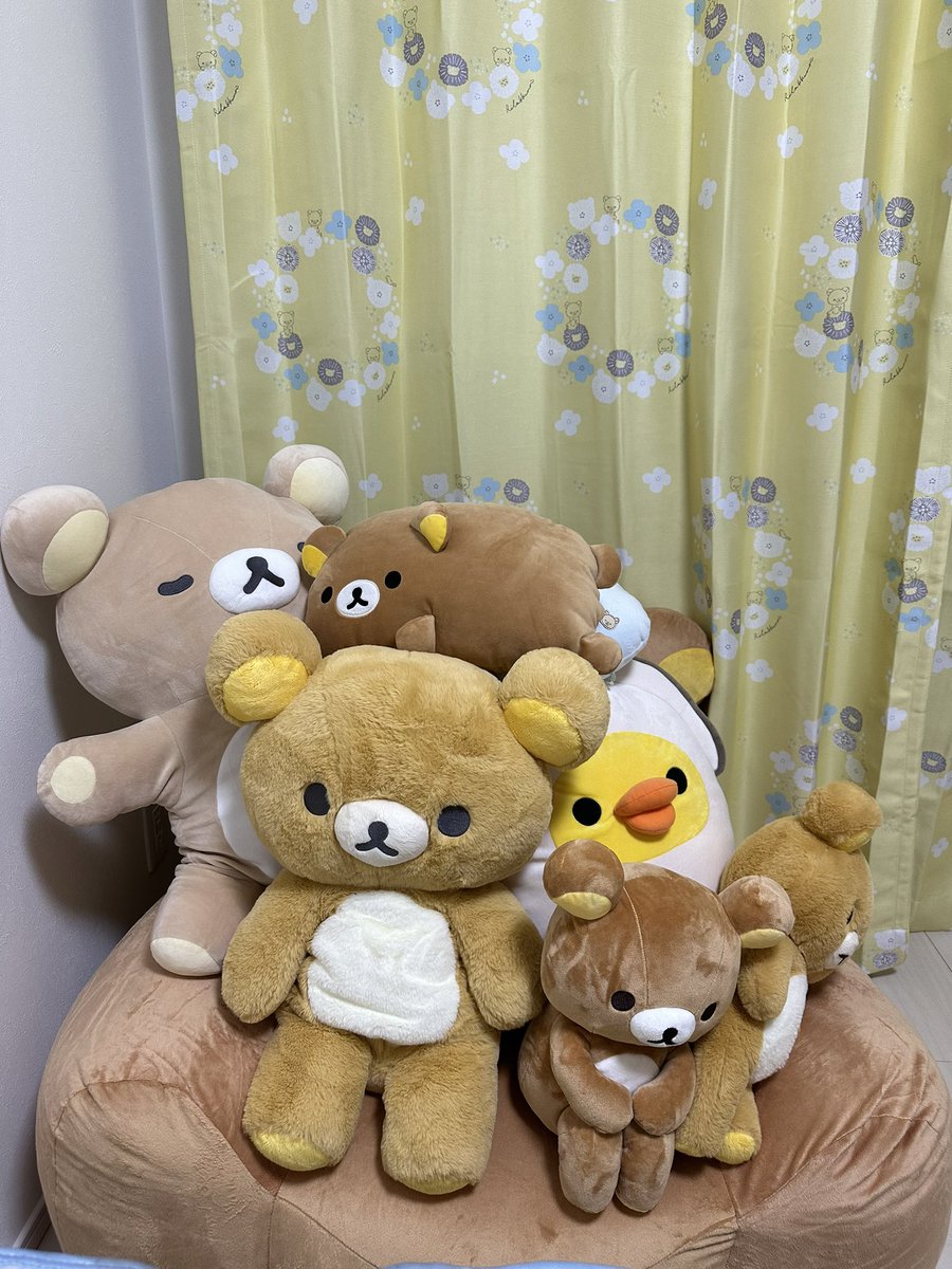rilakkumaruuu's tweet image. クマだらけ🐻