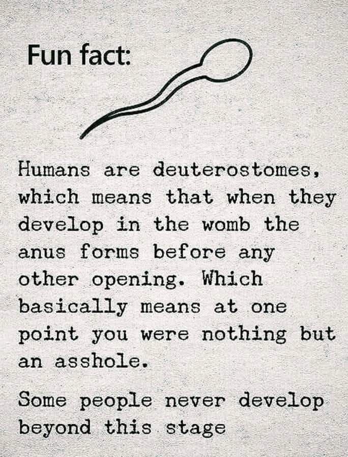 Happy, wonderful, morning Xers! I'm just gonna leave this right here, do with it what you will! 😄