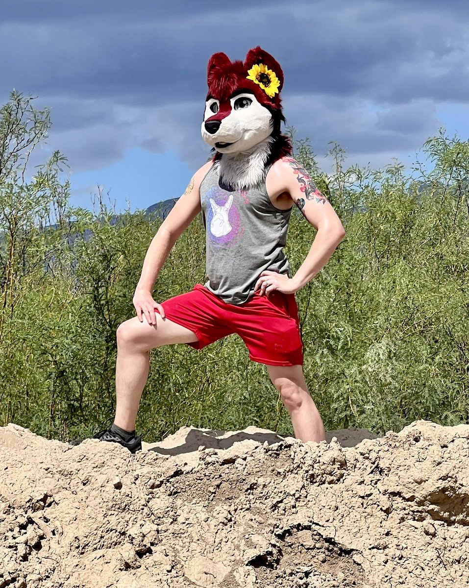 This is my mound of dirt! 

But if you ask nicely I’ll let you come up and join me. ❤️